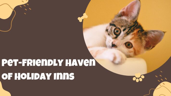 Pet-Friendly Haven Of Holiday Inns